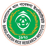 BRRI