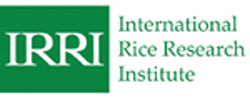 IRRI